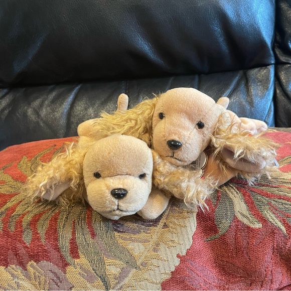 Meet the TY Beanie Baby Dogs! - Picture 6 of 8